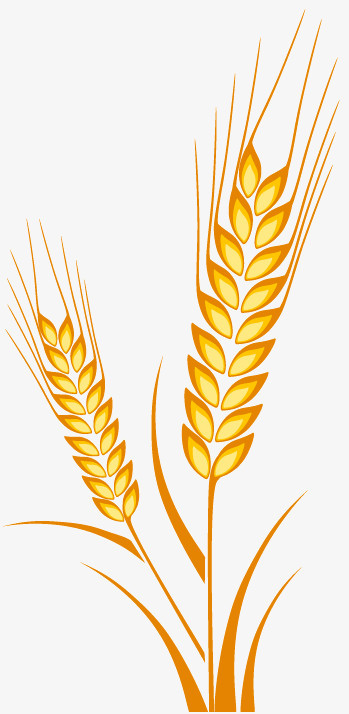 從金黃麥浪到數(shù)字界面 軟件設(shè)計(jì)制作的豐收之旅